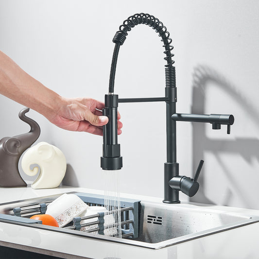 Dual Spout 360° Pull-Down Faucet